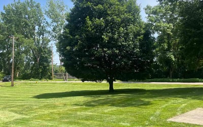 Photo of Cody M.'s yard after getting lawn care in Burleson, TX