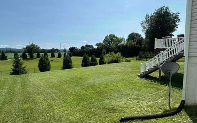 Photo of Olivia B.'s yard after getting lawn care in Selma, NC