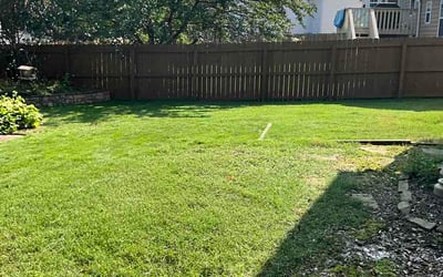 Photo of Allison C.'s yard after getting lawn care in Drexel Hill, PA