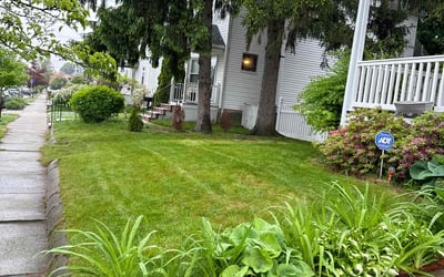 Photo of Jasen M.'s yard after getting lawn care in Medford, MA