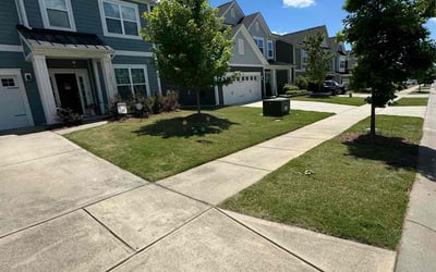 Photo of Erica F.'s yard after getting tree care in Wimauma, FL