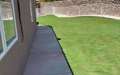 Photo of Susan R.'s yard after getting lawn care in El Paso, TX