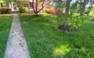 Photo of Christi K.'s yard after getting lawn care in Reisterstown, MD