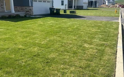 Photo of Suzanne G.'s yard after getting lawn care in Hellertown, PA