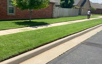 Photo of Dana M.'s yard after getting lawn care in Jasper, AL