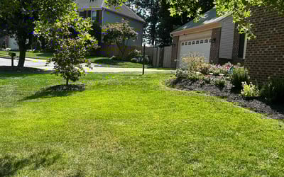 Photo of Linda B.'s yard after getting lawn care in Annandale, VA