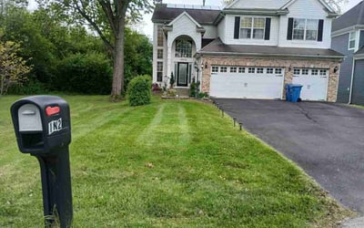 Photo of John M.'s yard after getting lawn care in Austin, TX