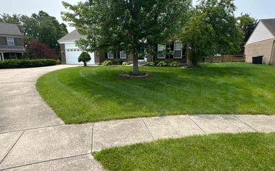 Photo of Holly A.'s yard after getting lawn care in Hurst, TX
