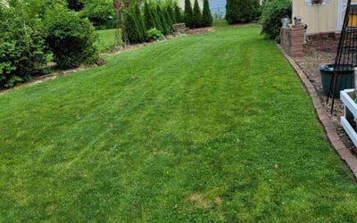 Photo of Trevor G.'s yard after getting lawn care in East Moline, IL