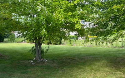 Photo of Edward B.'s yard after getting lawn care in Clayton, NC