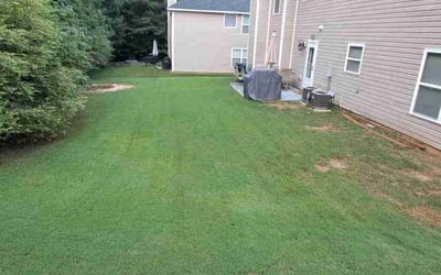 Photo of Glen L.'s yard after getting lawn care in Snellville, GA