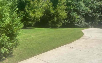 Photo of Joshua R.'s yard after getting lawn care in Rex, GA