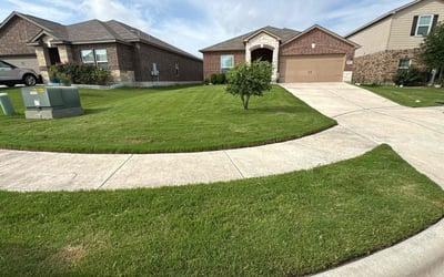 Photo of Nancy C.'s yard after getting lawn care in Lakewood, WA