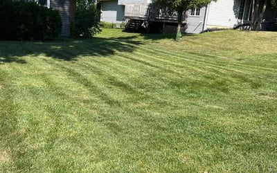 Photo of Jan G.'s yard after getting lawn care in Downers Grove, IL
