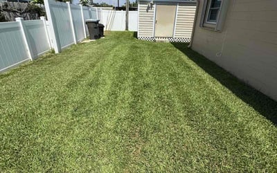 Photo of Adekunmi K.'s yard after getting lawn care in Orland Park, IL