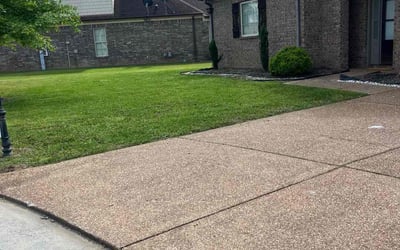 Photo of Shannon L.'s yard after getting lawn care in Rogersville, TN