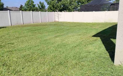 Photo of Stephanie B.'s yard after getting lawn care in Spring Hill, FL