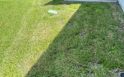 Photo of Leyland D.'s yard after getting lawn care in Hazel Park, MI