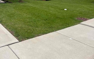 Photo of Scott W.'s yard after getting lawn care in Greenville, TX