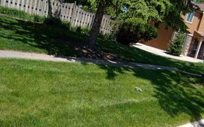 Photo of Jim E.'s yard after getting lawn care in Warrenville, IL