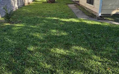 Photo of Abhishek P.'s yard after getting lawn care in Brockton, MA