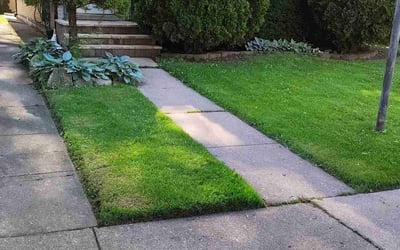 Photo of Richard M.'s yard after getting lawn care in Skokie, IL