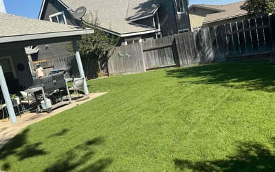 Photo of Joshua M.'s yard after getting lawn care in Merced, CA