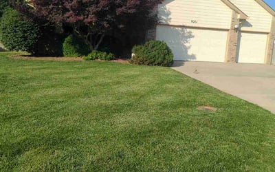 Photo of Deepak S.'s yard after getting lawn care in Augusta, KS