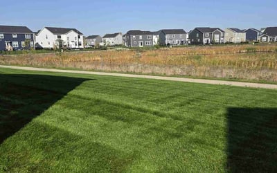 Photo of Robert P.'s yard after getting lawn care in Lockport, IL
