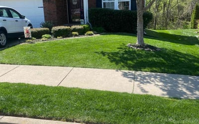 Photo of Johnny F.'s yard after getting lawn care in Brentwood, TN