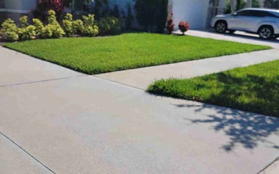 Photo of Sri K.'s yard after getting lawn care in Citrus Park, FL