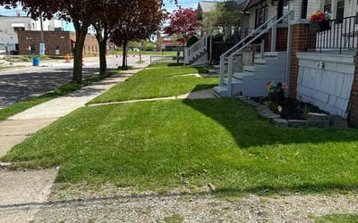 Photo of Curtis T.'s yard after getting lawn care in Lincoln Park, MI