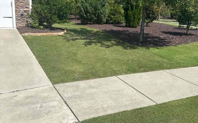Photo of Callan B.'s yard after getting lawn care in Tampa, FL