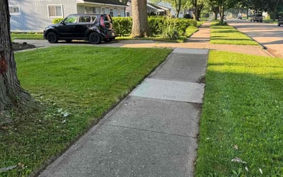Photo of Linda W.'s yard after getting lawn care in Mount Clemens, MI