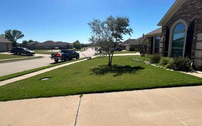 Photo of Tammy B.'s yard after getting lawn care in Midlothian, TX