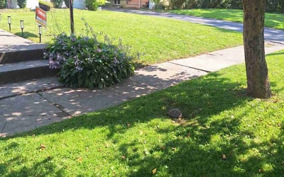 Photo of Justin K.'s yard after getting lawn care in Syracuse, NY
