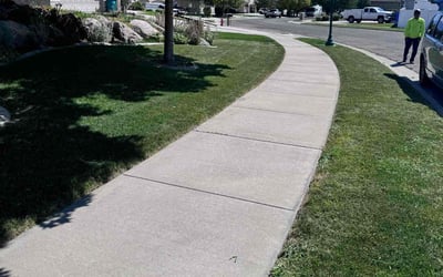 Photo of Michael N.'s yard after getting lawn care in Riverton, UT