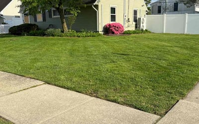 Photo of Lynne C.'s yard after getting lawn care in Levittown, NY