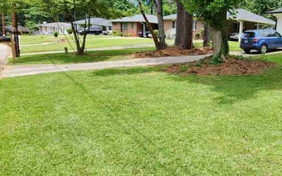 Photo of Sreenivas M.'s yard after getting lawn care in Jackson, TN
