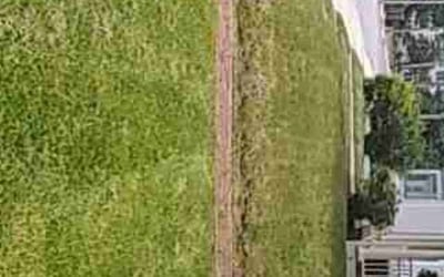 Photo of Irene S.'s yard after getting lawn care in Plymouth, MA