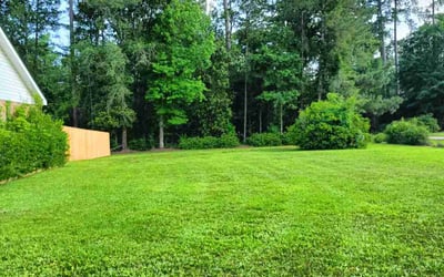 Photo of William W.'s yard after getting lawn care in Hammond, LA