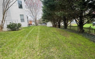 Photo of Michael J.'s yard after getting lawn care in Purcellville, VA