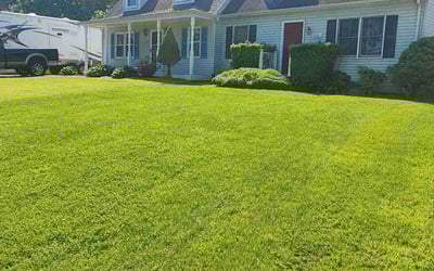 Photo of Mike K.'s yard after getting lawn care in Takoma Park, MD