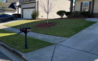Photo of Devin W.'s yard after getting lawn care in Corbin, KY