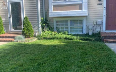 Photo of Sara C.'s yard after getting lawn care in Reisterstown, MD