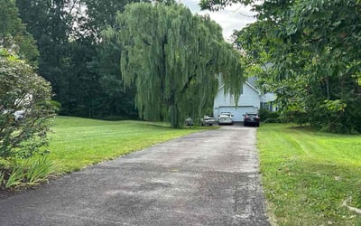 Photo of Olivia B.'s yard after getting lawn care in Supply, NC