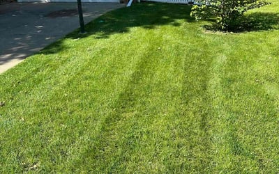 Photo of Ricky P.'s yard after getting lawn care in Papillion, NE