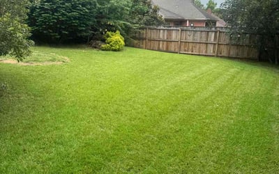 Photo of Sandra O.'s yard after getting lawn care in Lititz, PA