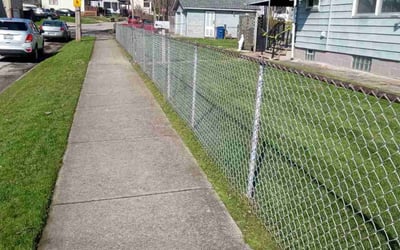 Photo of Tim W.'s yard after getting lawn care in Glen Cove, NY