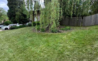 Photo of Josh M.'s yard after getting lawn care in Minnetonka, MN